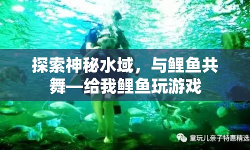 探索神秘水域，與鯉魚共舞，給我鯉魚玩游戲  第1張