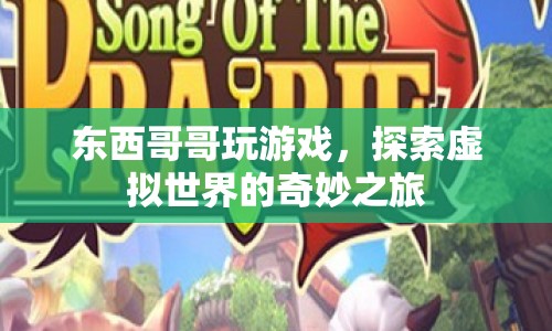 東西哥哥，探索虛擬世界的奇妙之旅