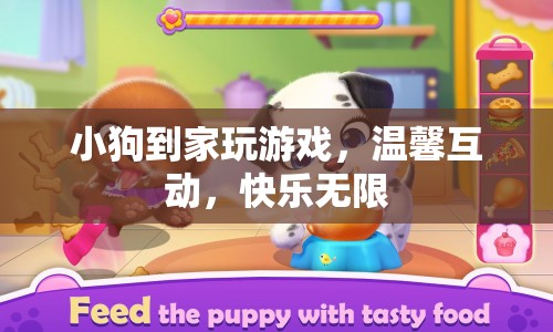 小狗到家，溫馨互動，快樂無限