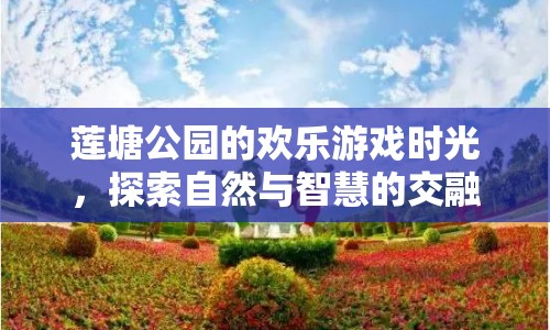 蓮塘公園，探索自然與智慧的歡樂游戲時光