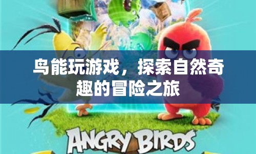 鳥類的自然奇趣冒險，探索與游戲之旅  第1張