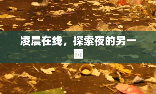 凌晨在線，探索夜的另一面