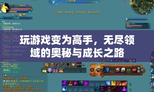 無盡領域的奧秘，從新手到高手的游戲成長之路  第1張