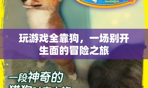 狗引領(lǐng)的冒險(xiǎn)，一場(chǎng)別開(kāi)生面的游戲之旅