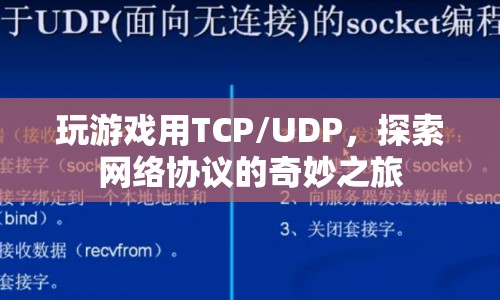 探索網(wǎng)絡協(xié)議的奇妙之旅，TCP/UDP在游戲中的應用