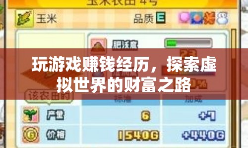 探索虛擬世界的財(cái)富之路，我的游戲賺錢經(jīng)歷