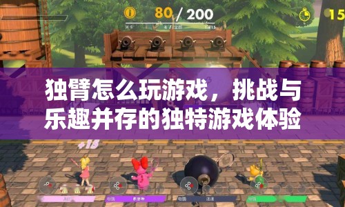 獨(dú)臂玩家的游戲挑戰(zhàn)與樂(lè)趣