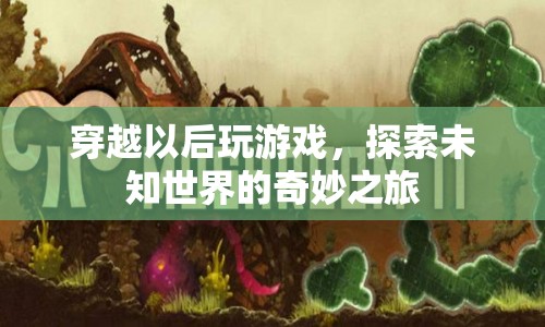 穿越后開(kāi)啟游戲之旅，探索未知世界的奇妙冒險(xiǎn)