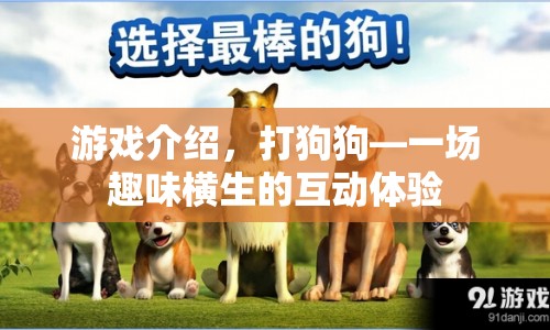 打狗狗，趣味互動(dòng)體驗(yàn)等你來(lái)戰(zhàn)