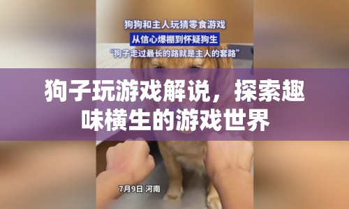 狗子游戲解說(shuō)，探索趣味橫生的游戲世界