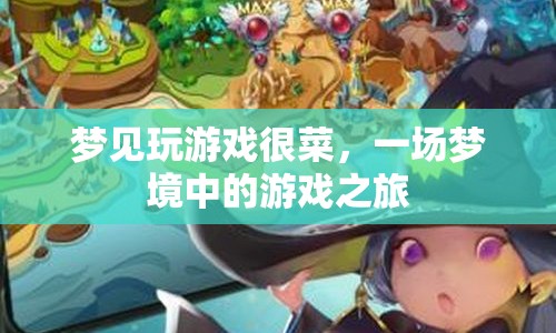 夢(mèng)境中的游戲挑戰(zhàn)，一場(chǎng)菜鳥的冒險(xiǎn)之旅