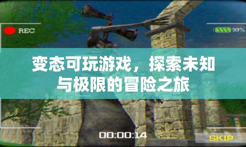 探索未知與極限，變態(tài)可玩游戲的冒險(xiǎn)之旅