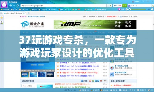37玩游戲?qū)?，游戲玩家?yōu)化神器