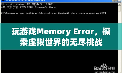 虛擬世界中的無盡挑戰(zhàn)，Memory Error的奧秘