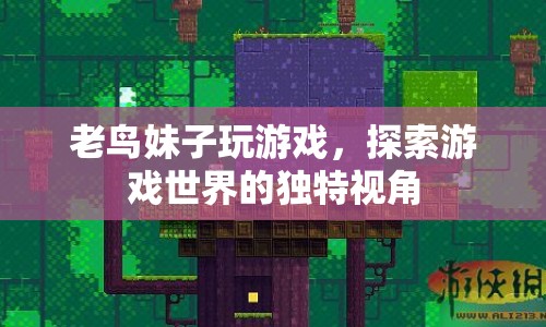 老鳥妹子視角，探索游戲世界的獨特體驗