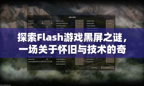 Flash游戲黑屏之謎，懷舊與技術(shù)的奇妙冒險(xiǎn)