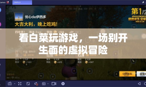 白菜的虛擬冒險(xiǎn)之旅，一場(chǎng)別開生面的游戲盛宴