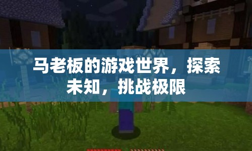 馬老板的游戲世界，探索未知，挑戰(zhàn)極限
