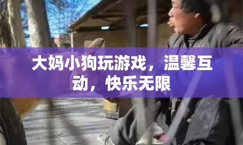 大媽與小狗溫馨互動，快樂無限