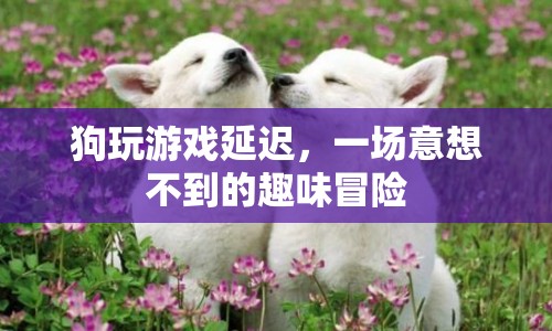 狗玩游戲延遲引發(fā)趣味冒險(xiǎn)  第1張