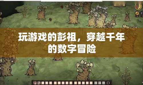 彭祖穿越千年，數(shù)字冒險(xiǎn)游戲開啟！