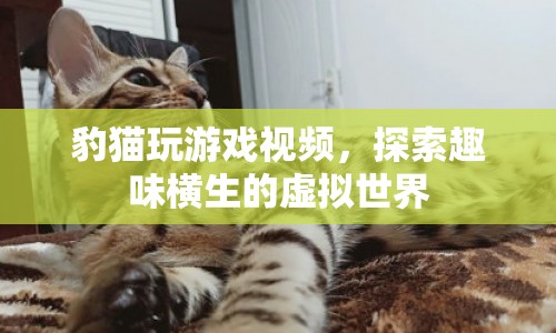 豹貓?zhí)剿魈摂M世界，趣味橫生的游戲視頻