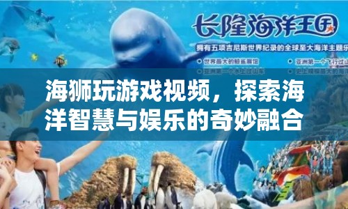 海獅游戲，探索海洋智慧與娛樂的奇妙融合