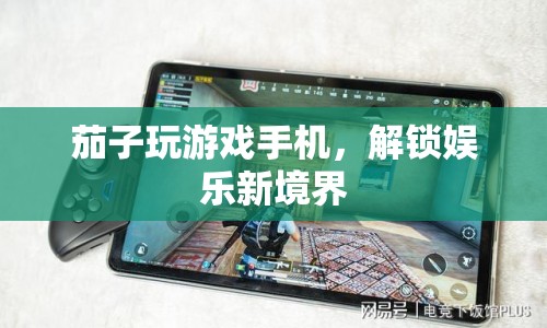 茄子解鎖娛樂新境界，玩游戲手機