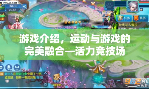活力競(jìng)技場(chǎng)，運(yùn)動(dòng)與游戲的完美融合