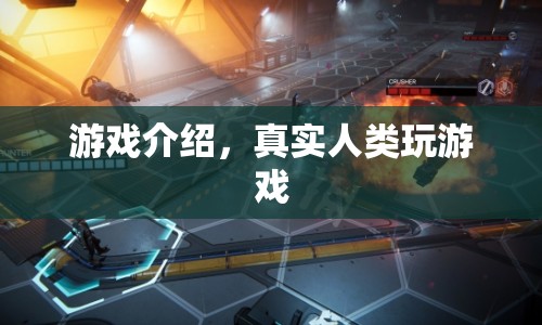 真實(shí)人類(lèi)玩游戲，探索虛擬世界的奇妙之旅