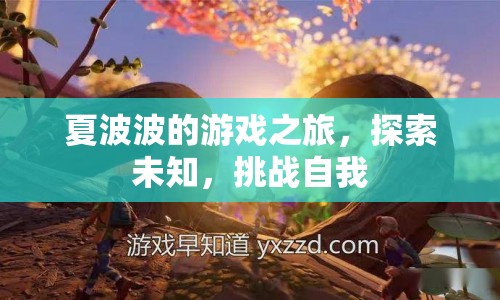 夏波波游戲之旅，探索未知，挑戰(zhàn)自我