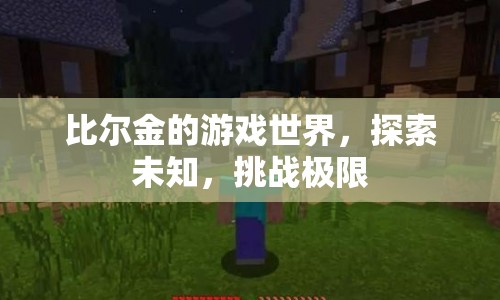 比爾金，探索游戲世界的未知與挑戰(zhàn)