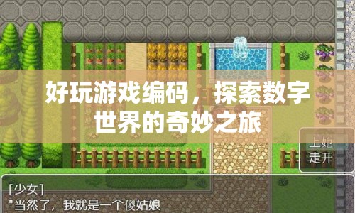 探索數(shù)字世界的奇妙之旅，好玩游戲編碼