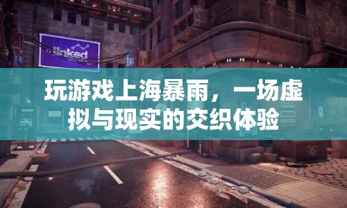 上海暴雨中的虛擬游戲，現(xiàn)實(shí)與虛擬的交織體驗(yàn)