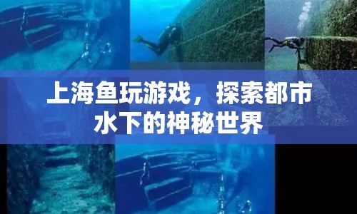上海魚(yú)玩游戲，探索都市水下的神秘世界