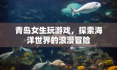 青島女生海洋世界浪漫冒險(xiǎn)游戲