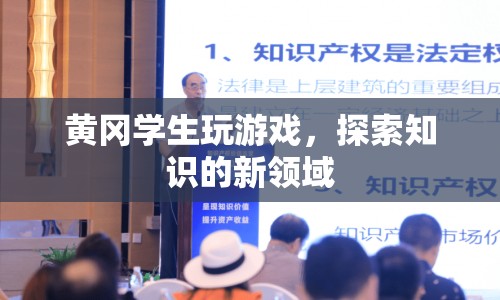 黃岡學(xué)生探索知識(shí)新領(lǐng)域，游戲成為學(xué)習(xí)工具
