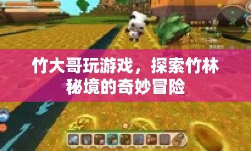 竹大哥竹林探險(xiǎn)，揭秘竹林秘境的奇妙之旅