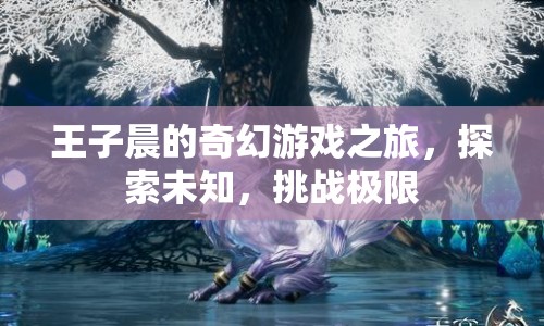 王子晨的奇幻冒險(xiǎn)，探索未知，挑戰(zhàn)極限