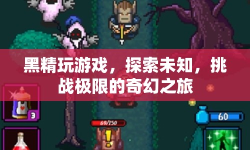 黑精探索未知，挑戰(zhàn)極限的奇幻游戲之旅