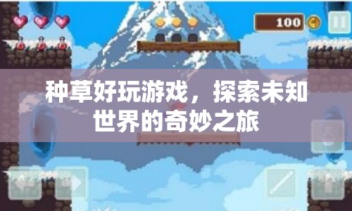 探索未知世界的奇妙之旅，種草好玩游戲