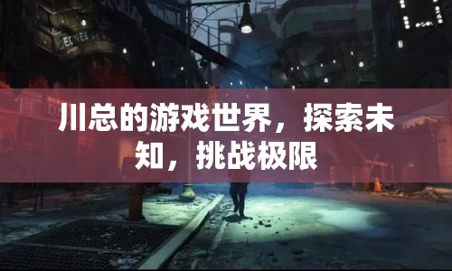 川總的游戲世界，探索未知，挑戰(zhàn)極限