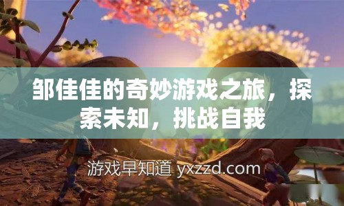 鄒佳佳的奇妙冒險，探索未知，挑戰(zhàn)自我之旅