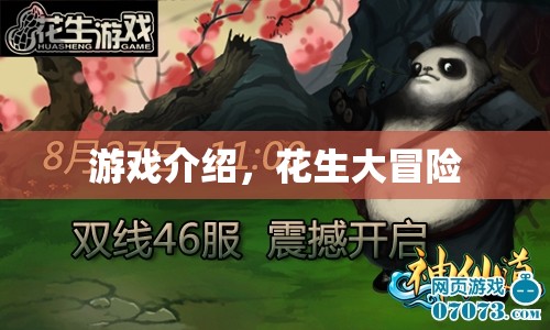 花生大冒險(xiǎn)，探索奇妙世界的冒險(xiǎn)之旅