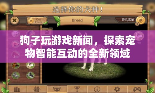 寵物狗玩VR游戲，探索智能互動新領(lǐng)域  第1張