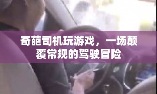 奇葩司機(jī)玩游戲，一場顛覆常規(guī)的駕駛冒險