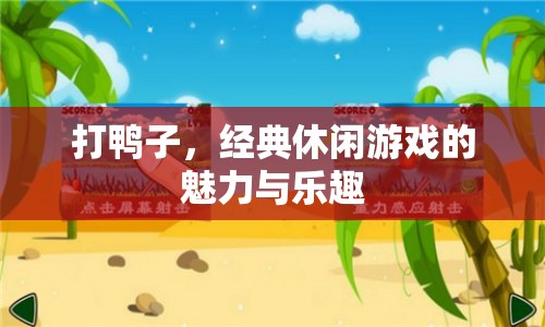 打鴨子，經(jīng)典休閑游戲的魅力與樂(lè)趣