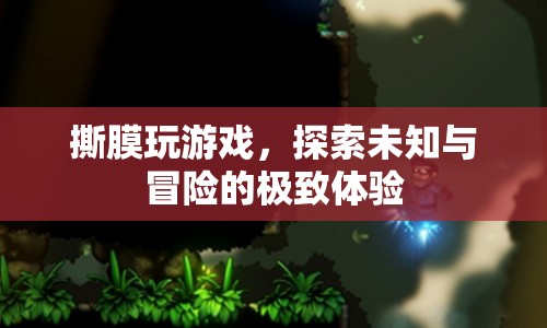 撕膜玩游戲，探索未知與冒險的極致體驗