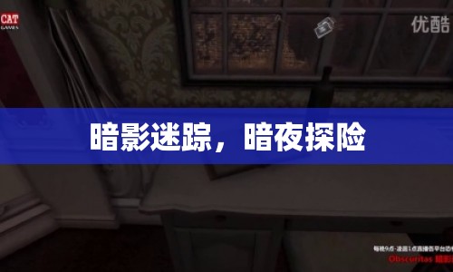 暗夜迷蹤，探險者的神秘之旅