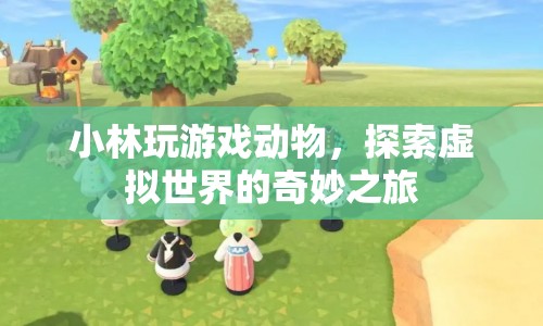 小林探索虛擬世界，奇妙之旅中的動(dòng)物游戲